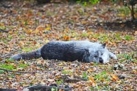 De Abruzzen zijn het wildste geheim van Italië