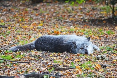 De Abruzzen zijn het wildste geheim van Italië